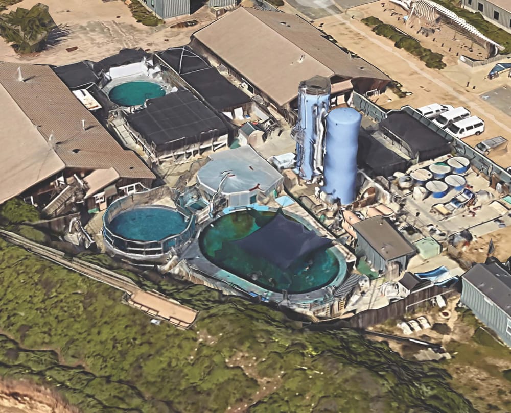 Marine Mammals Pools, UCSC